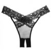 Adore Sheer, Lace Desire Panty Black O/S
