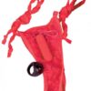 My Secret Remote Control Panty Vibe Red