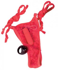 My Secret Remote Control Panty Vibe Red