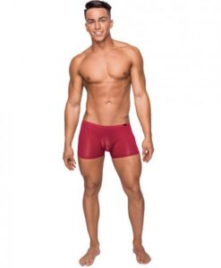 Seamless Sleek Shorts Sheer Pouch Red Small
