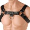 English Bull Dog Harness Black Leather
