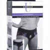 Strap U Lace Envy Crotchless S/m Purple