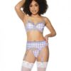 Crystal Pink Buffalo Check Print, Bra, Garter Belt & String Grey/pink Lg