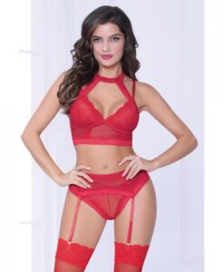Lace & Netting Long Line Bra, Garter Belt & Open Crotch Thong Red Lg
