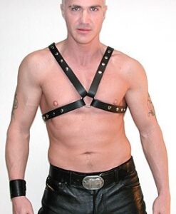 Leather Chest Harness, L/XL