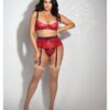 Eyelash Lace Underwire Bra, Garter Skirt & G-string Red 3x/4x
