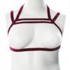 Gender Fluid Sugar Coated Harness - Xl-xxxl Raspberry Glitter