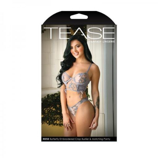 Tease Reese Butterfly Embroidered Mesh Bustier Top With Ribbon Lace-up Detail & Matching Panty With