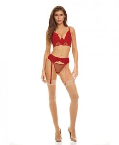 Bombshell Boudoir Lace & Mesh Peek A Boo Wire Bra, Garter Belt & G-string Red Lg