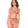 Holiday Embroidered Tulle Bra W/ruffled Trim, Garter Belt & G-string Red/nude Sm