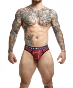 Male Basics Sexy Pouch Thong Tweed Sm
