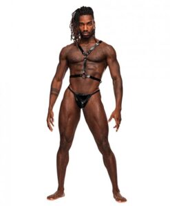 Sagittarius Pu Leather Chest & Winged Back Harness Black O/s