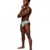 Sheer Prints Mesh Poly Spandex Thong Flamingo L/xl