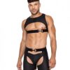 Master Harness W/hook & Ring Closure Black Md