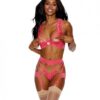 Lace Underwire Peek A Boo Bra, Garterbelt & G-string Coral Lg