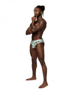 Male Power Sheer Prints Sheer Thong Flamingo S/m