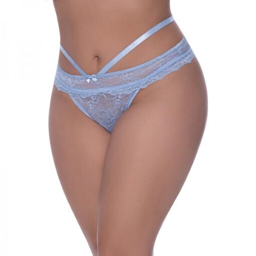 Magic Silk Ooh La Lace Peek-a-boo Cheeky Panty Periwinkle Queen Size