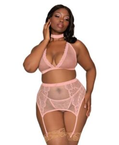 Fishnet & Lace 4pc Set W/ Stretch Velvet Trim Rose Pink Q/s