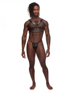 Gemini Leather Harness Black O/s