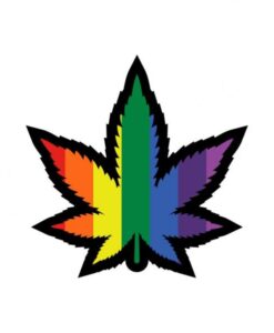 Rainbow Marijuana Leaf Pin (net)
