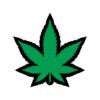 Green Marijuana Leaf Pin (net)