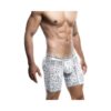Male Basics Spider Hipster Boxer Brief White/black Md