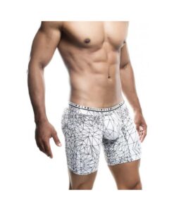 Male Basics Spider Hipster Boxer Brief White/black Md
