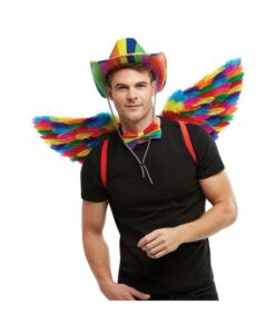 Rainbow Small Feather Wings