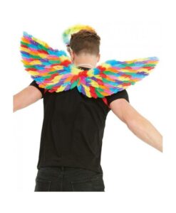 Alternative view of Rainbow Small Feather Wings