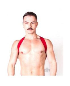 Prowler Red Sports Harness Lite Red S/m
