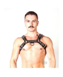 Prowler Red Bull Harness Blk/grn Sm