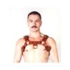 Prowler Red Butch Harness Brn/brs Xl