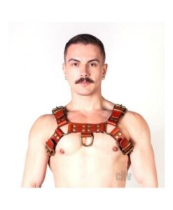 Prowler Red Butch Harness Brn/brs Xl