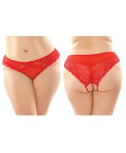 Cassia Crotchless Lace And Mesh Panty 6-pack Q/s Red