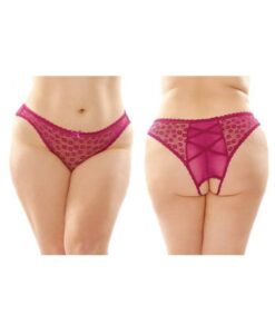 Daisy Crotchless Lace And Mesh Panty With Criss-cross Panel Back 6-pack Q/s Berry
