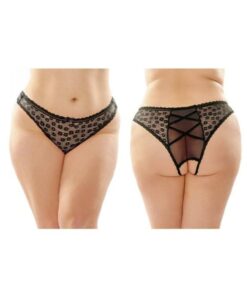 Daisy Crotchless Lace And Mesh Panty With Criss-cross Panel Back 6-pack Q/s Black