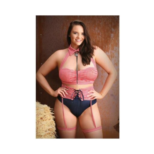 Play Whiskey In A Teacup Costume Collared Halter Top, Garter Belt With Lace-up Detail, Detachable Ga