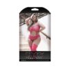 Sheer Afterglow Cutout Teddy With Attached Footless Stockings Berry Pink Queen