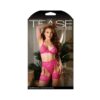 Tease Fallon Bralette, Garter Belt With Leg Garters & Panty Set Pink S/m