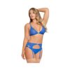 Magic Silk Sassy Bra, Garter & Rouched Panty Cobalt L/xl