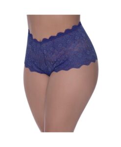 Magic Silk Berrylicious Split Crotch Lace Boyshort Blueberry Queen Size