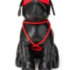 Prowler Red Roped Up Rover Lg Black