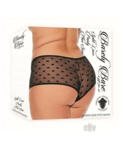 Barely B Split Lace Panty Plus Black