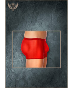 Stretch Mesh Pouch Short Red 3X