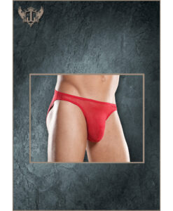 Stretch Mesh Wonder Bikini Red 3X