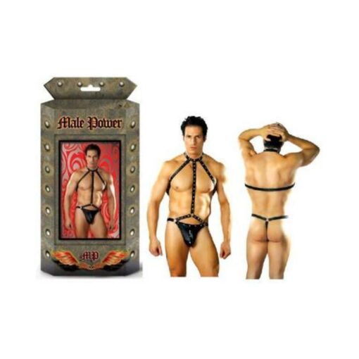 Gladiator - S/M - Image 3