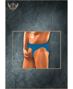 Nylon Spandex Pouchless Brief Royal One Size