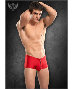 Nylon Spandex Zipper Short Red S/M