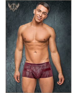 Dazzle Insert Short Burgundy S