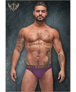 Avant-Garde Enhancer Thong Eggplant S/M